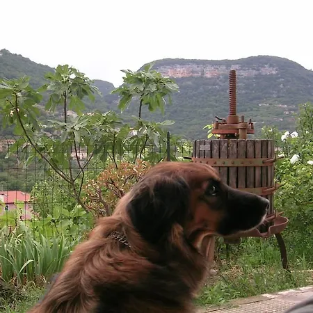 Al Riparo 3* Финале Лигуре