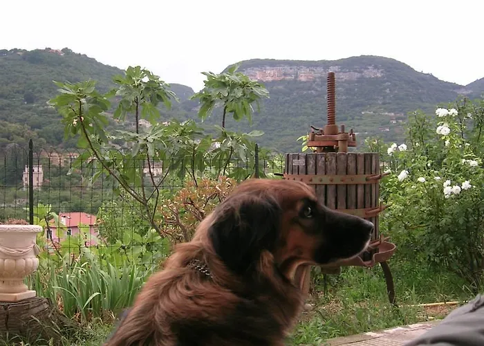 Al Riparo 3* Финале Лигуре